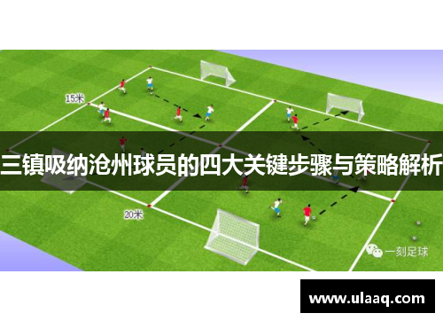 三镇吸纳沧州球员的四大关键步骤与策略解析