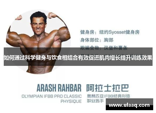 如何通过科学健身与饮食相结合有效促进肌肉增长提升训练效果