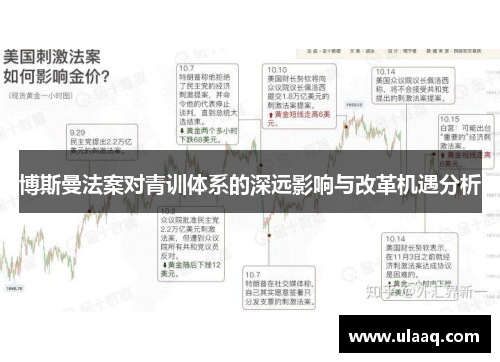 博斯曼法案对青训体系的深远影响与改革机遇分析