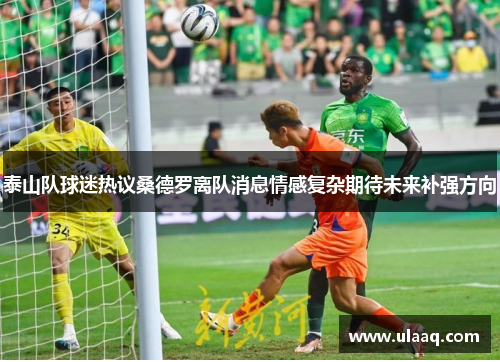 泰山队球迷热议桑德罗离队消息情感复杂期待未来补强方向
