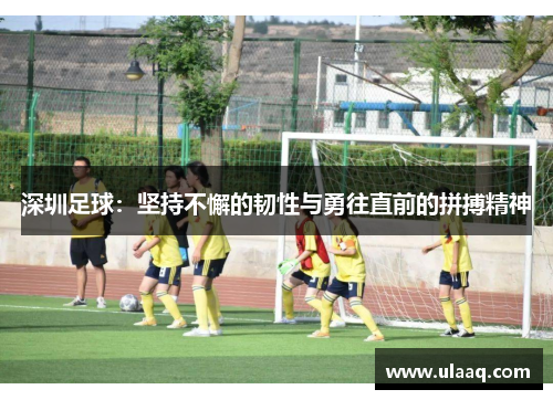 深圳足球：坚持不懈的韧性与勇往直前的拼搏精神