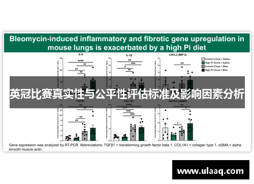 英冠比赛真实性与公平性评估标准及影响因素分析 英冠比赛真实性与公平性评估标准及影响因素分析
